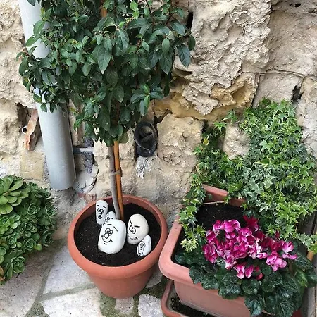 Hotel Il Nido Dello Striscignl 3*
