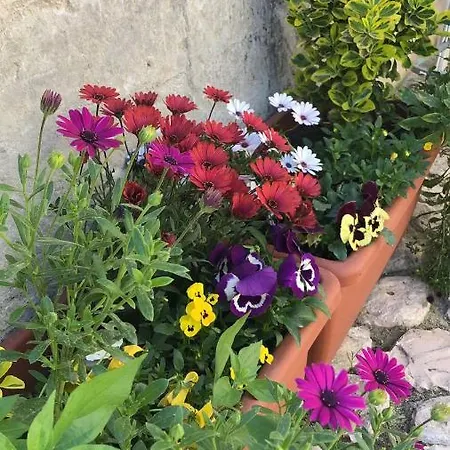 Il Nido Dello Striscignl Hotel 3*