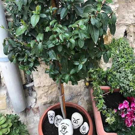 Hotel Il Nido Dello Striscignl Matera